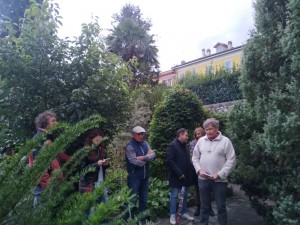 Il verde in città - Antonio Bossi e Giuseppe Mattioli                